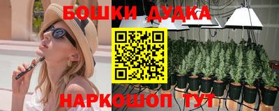 мдпв Дубна