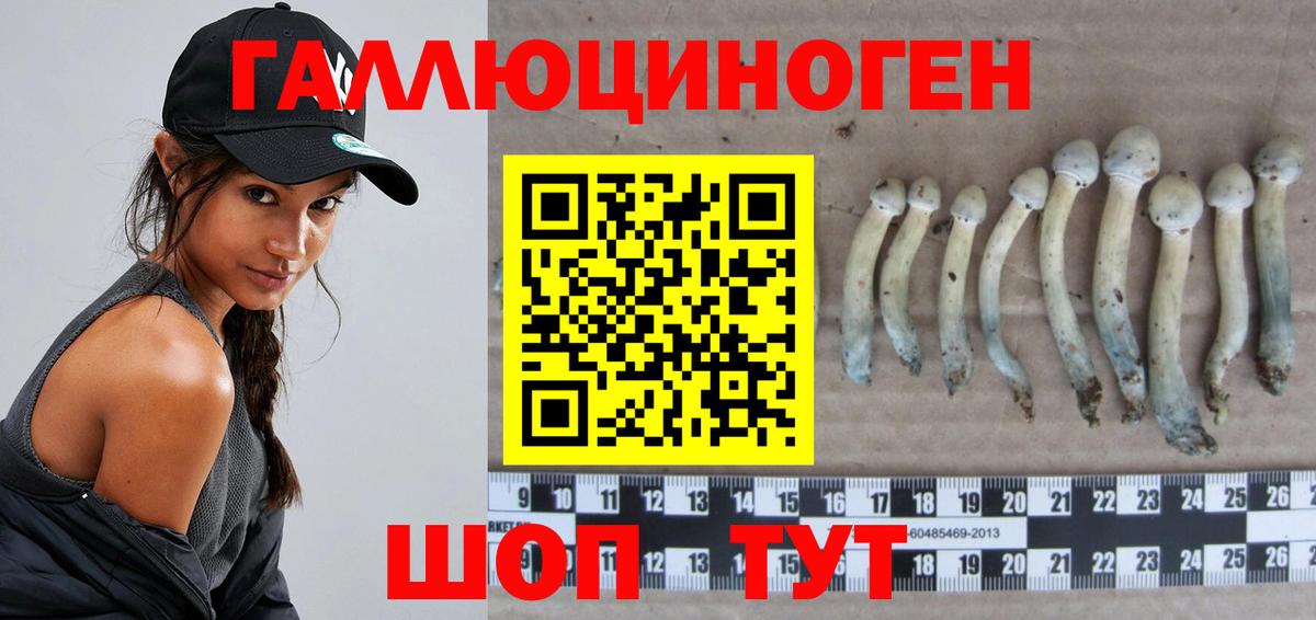 Галлюциногенные грибы Magic Shrooms Канск
