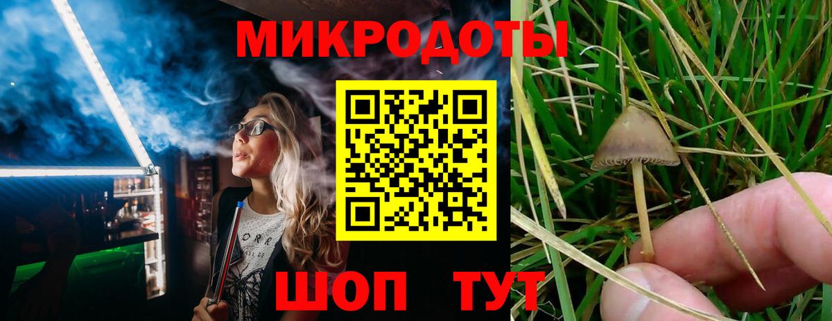 Канск  Галлюциногенные грибы Psilocybine cubensis  Вход с VPN 